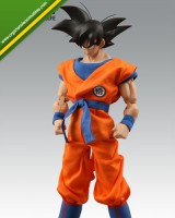 Goku RAH 